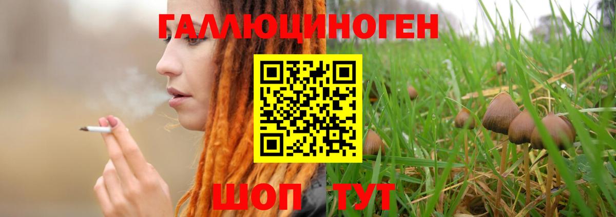 Псилоцибиновые грибы MAGIC MUSHROOMS  Псилоцибиновые грибы GOLDEN TEACHER  Вход с VPN  хочу наркоту  Хасавюрт 